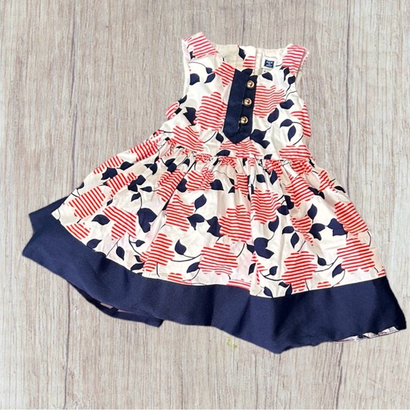 Janie and Jack Other - 6-12m Janie and Jack Tulle Skirt Floral Dress